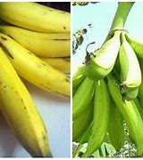 Jantung Pisang Nangka Pahit