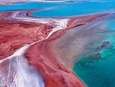 Krisis Laut Merah Saat Ini